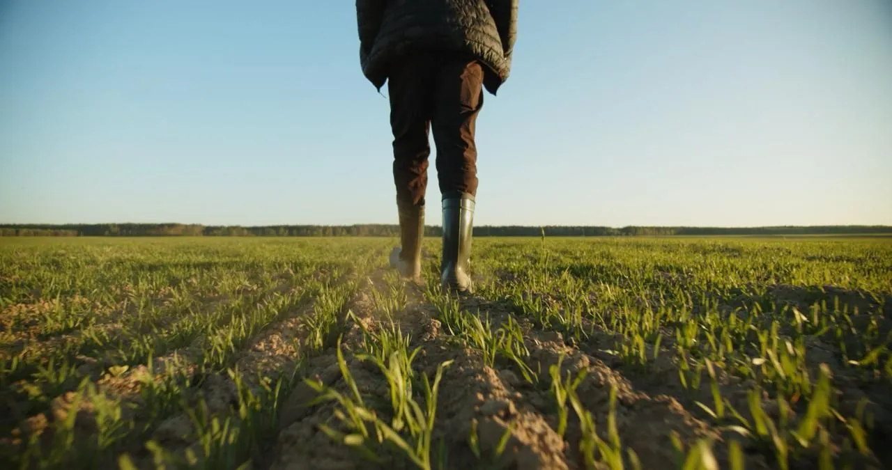 Vue de dessus d'une paire de bottes en caoutchouc usées posées sur une terre labourée