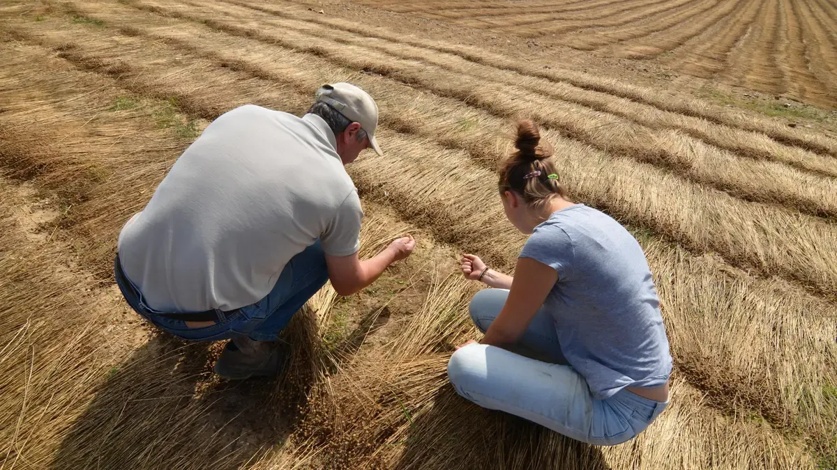 Un jeune enfant en ciré jaune, de dos au bord d'un champ labouré, un tracteur au travail à l'horizon
