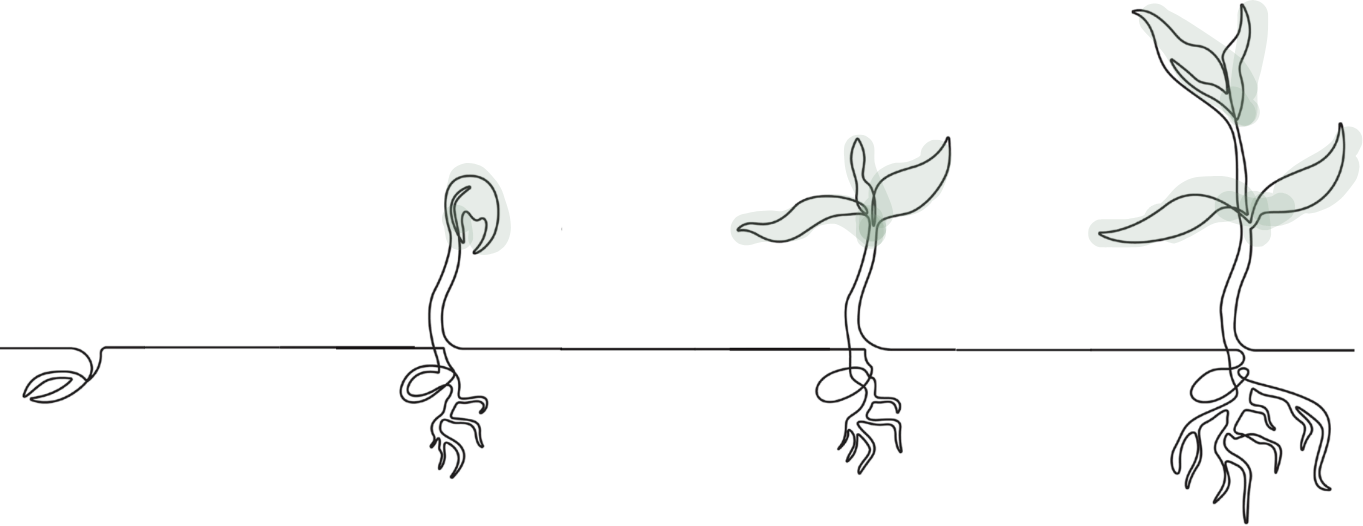 De la graine à la plante : la croissance accompagnée par les réseaux sociaux