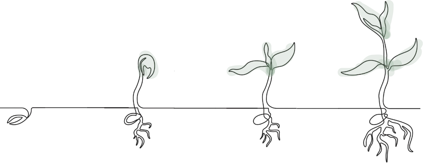 De la graine à la plante : la croissance accompagnée par les réseaux sociaux